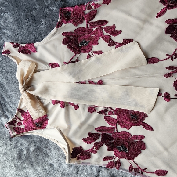 Beige by Eci, Swing Dress, Sm with embrodierd net of Maroon Roses and Leaves - Picture 4 of 6